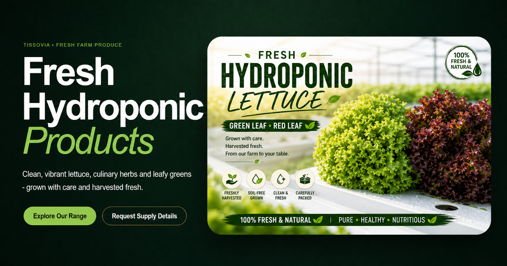 TISSOVIA fresh hydroponic products